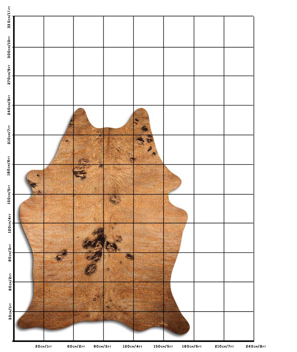 Distressed Exotico Frog Tan 3 - 4 M Classe A