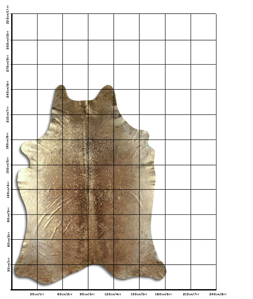 Devore Dourado Fundo Caramelo 3 - 4 M Classe A Devore Dourado Fundo Caramelo 3 - 4 M Classe A