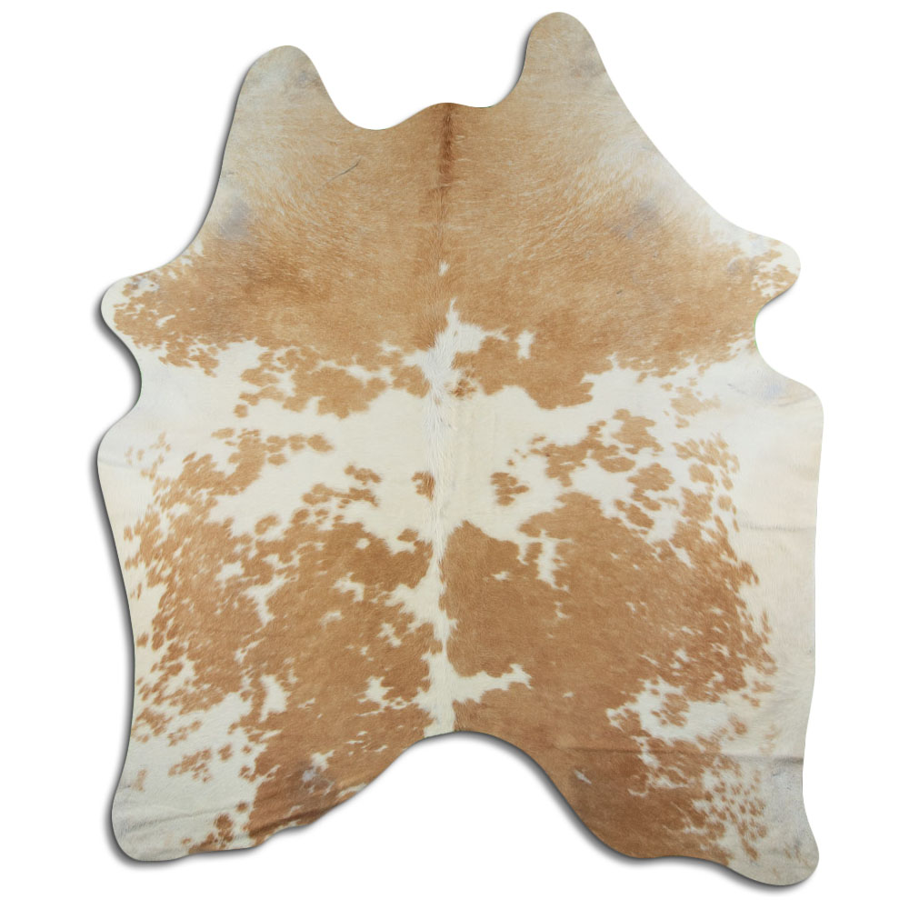 Beige Y Blanco 3 - 4 M Clase B