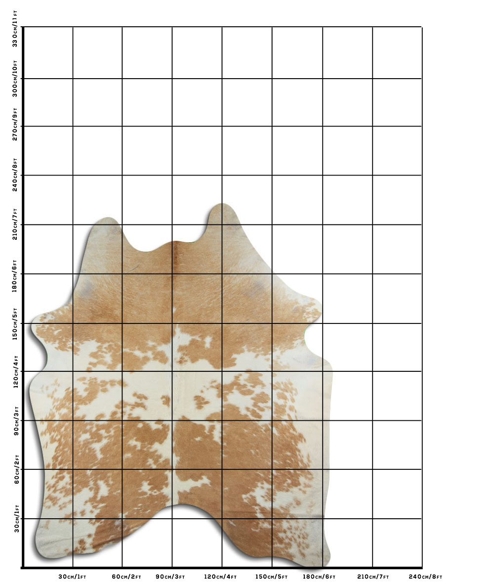 Bege e Branco 3 - 4 M Classe B