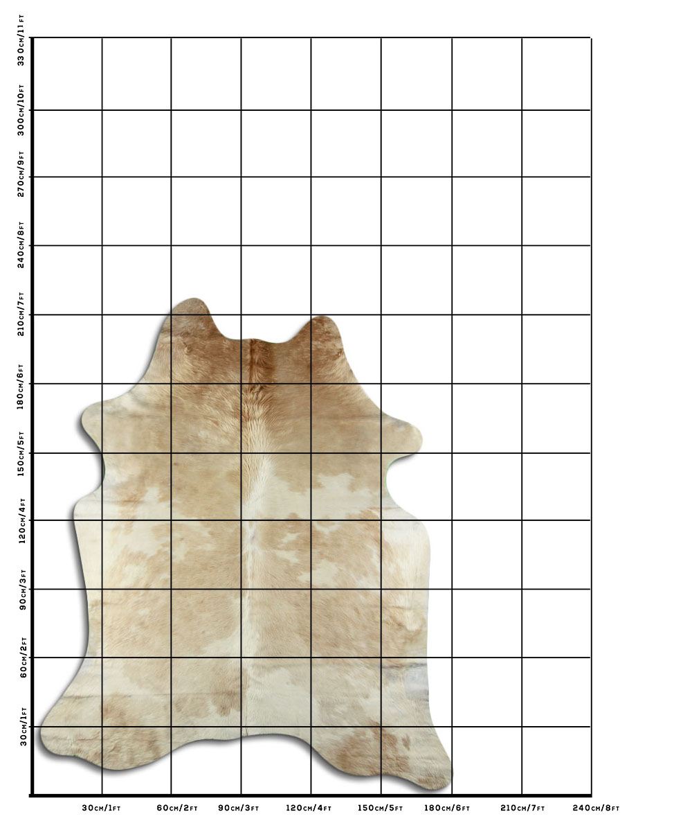 Bege e Branco 3 - 4 M Classe B