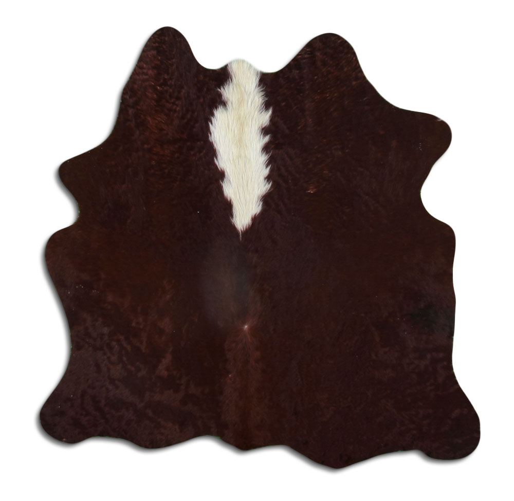 Hereford 1 - 2 M Classe B