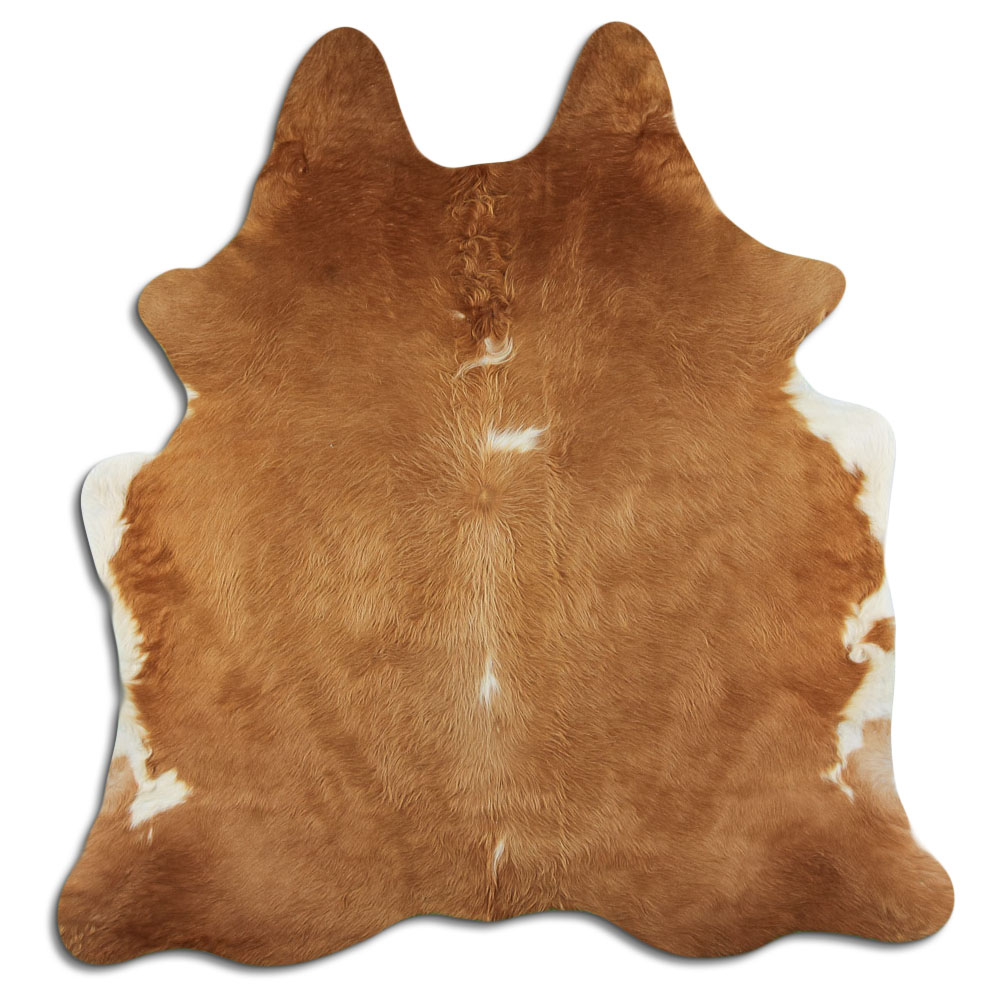 Hereford 2 - 3 M Grade A