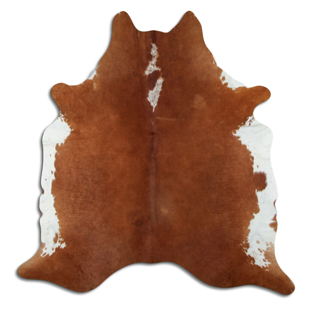 Hereford 2 - 3 M Grade B