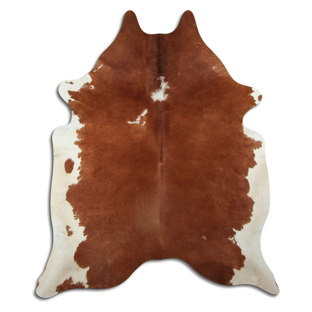 Hereford 2 - 3 M Classe B