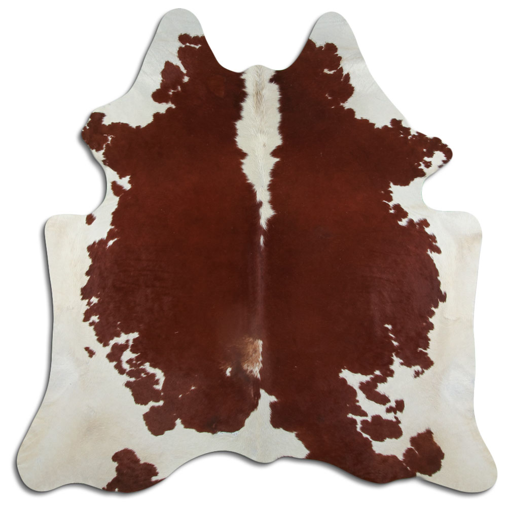 Hereford 2 - 3 M Grade B