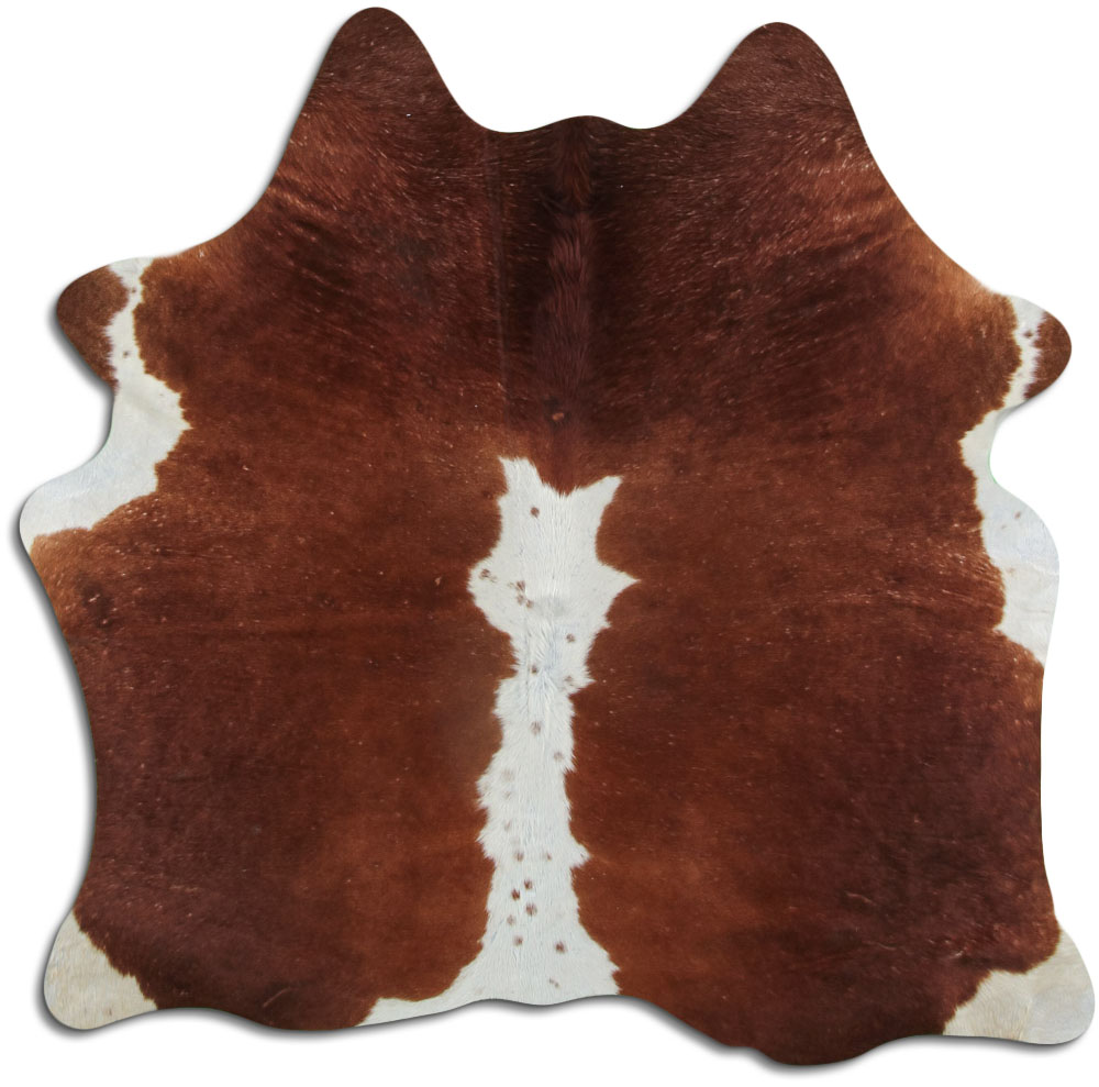 Hereford 2 - 3 M Classe B