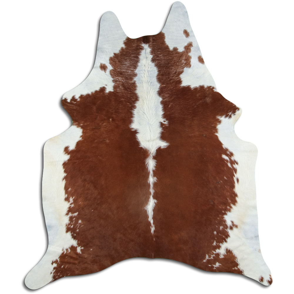 Hereford 2 - 3 M Grade B