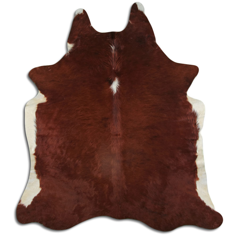 Hereford 2 - 3 M Classe B