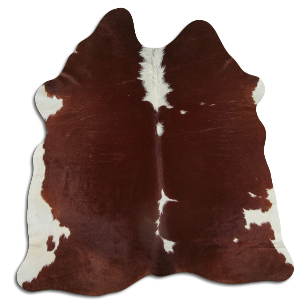 Hereford 2 - 3 M Grade B