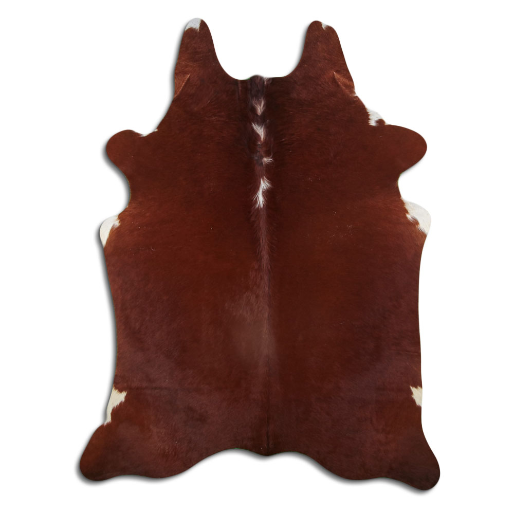 Hereford 2 - 3 M Clase B