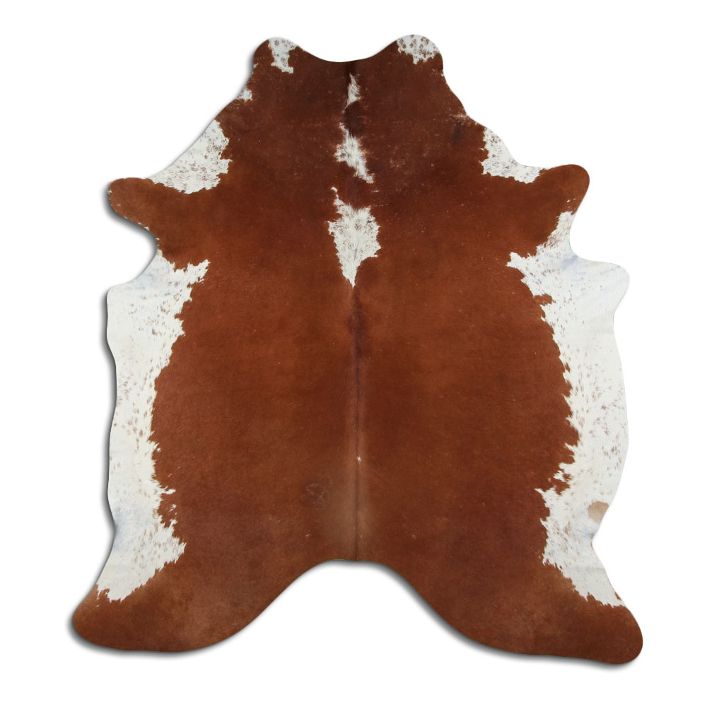 Hereford 2 - 3 M Grade B