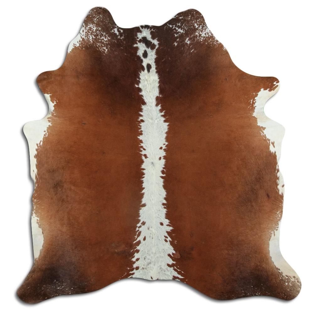Hereford 2 - 3 M Grade B