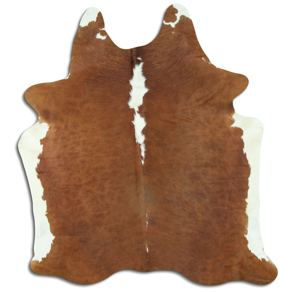Hereford 2 - 3 M Grade B