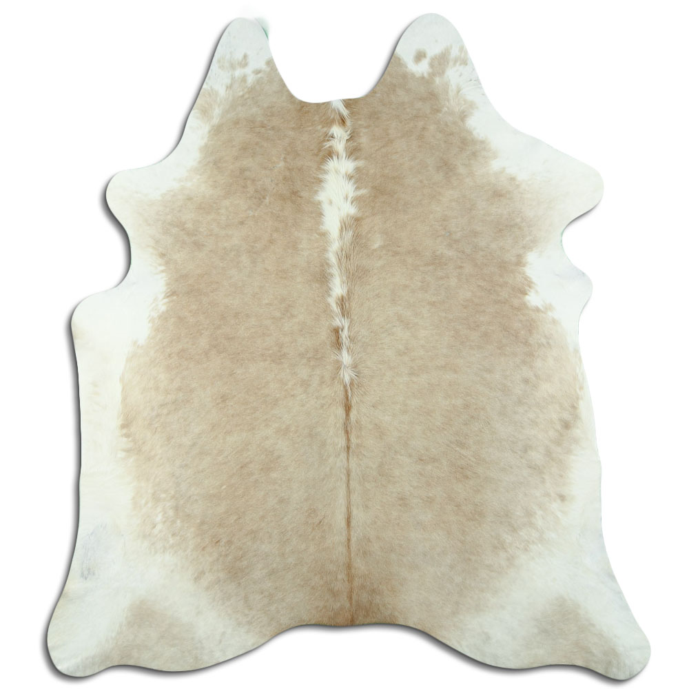 Hereford 2 - 3 M Grade B