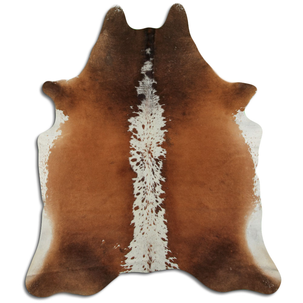 Hereford 2 - 3 M Classe B