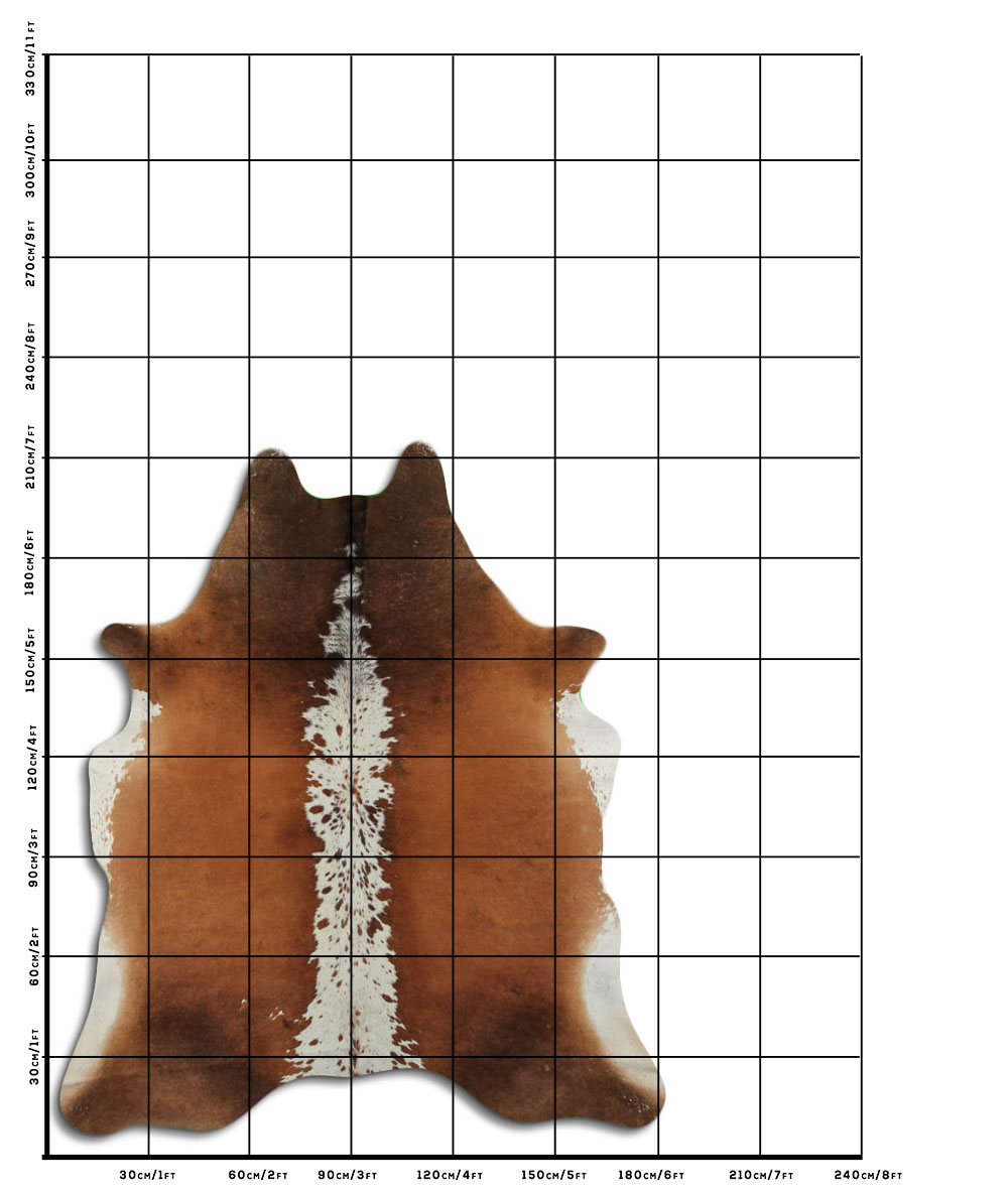 Hereford 2 - 3 M Classe B Hereford 2 - 3 M Classe B