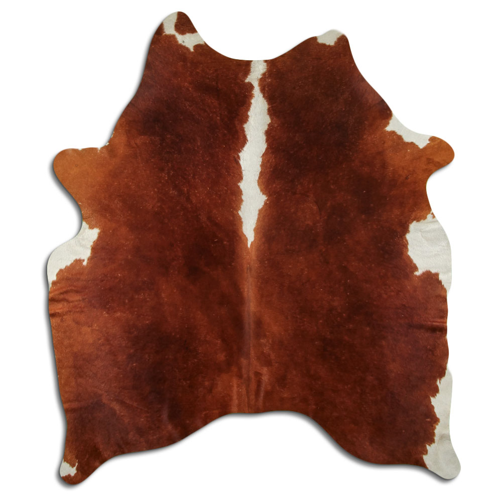 Hereford 2 - 3 M Classe B