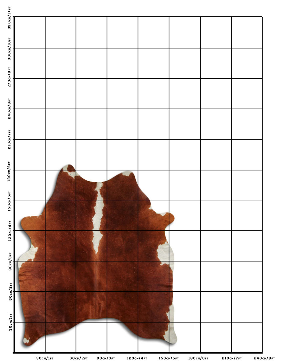 Hereford 2 - 3 M Classe B