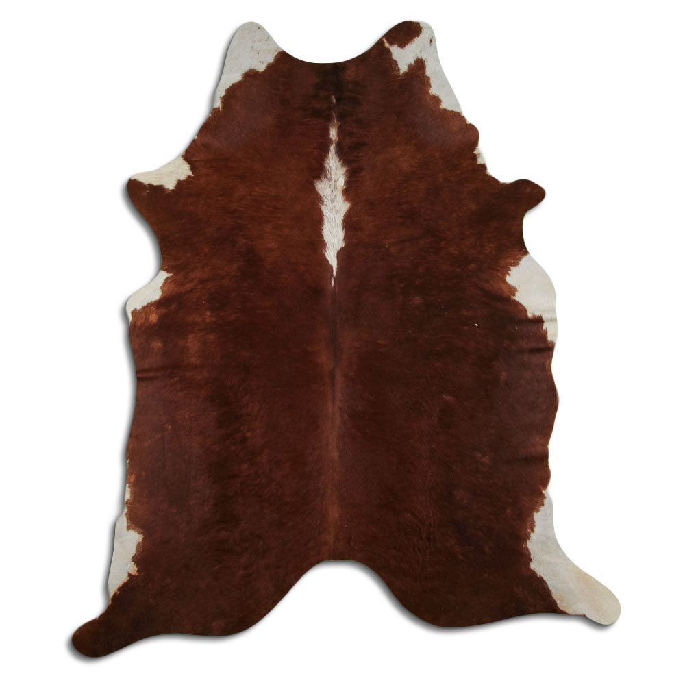 Hereford 2 - 3 M Classe B