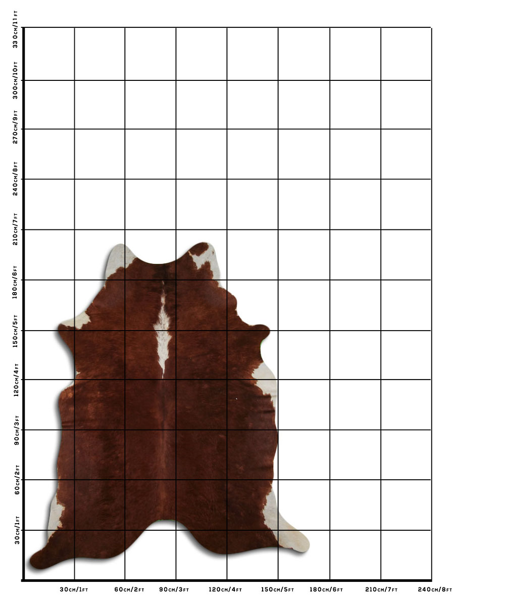 Hereford 2 - 3 M Classe B Hereford 2 - 3 M Classe B