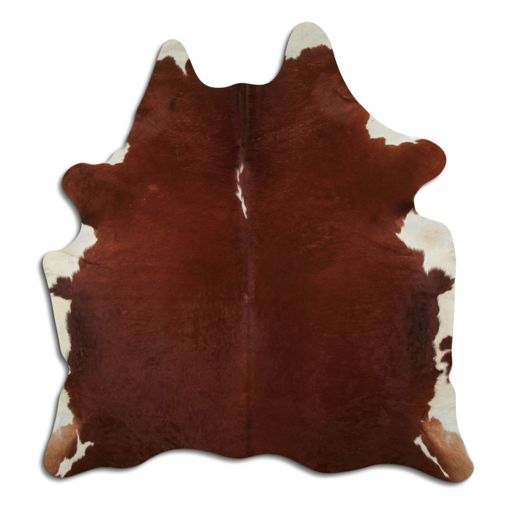 Hereford 2 - 3 M Classe B