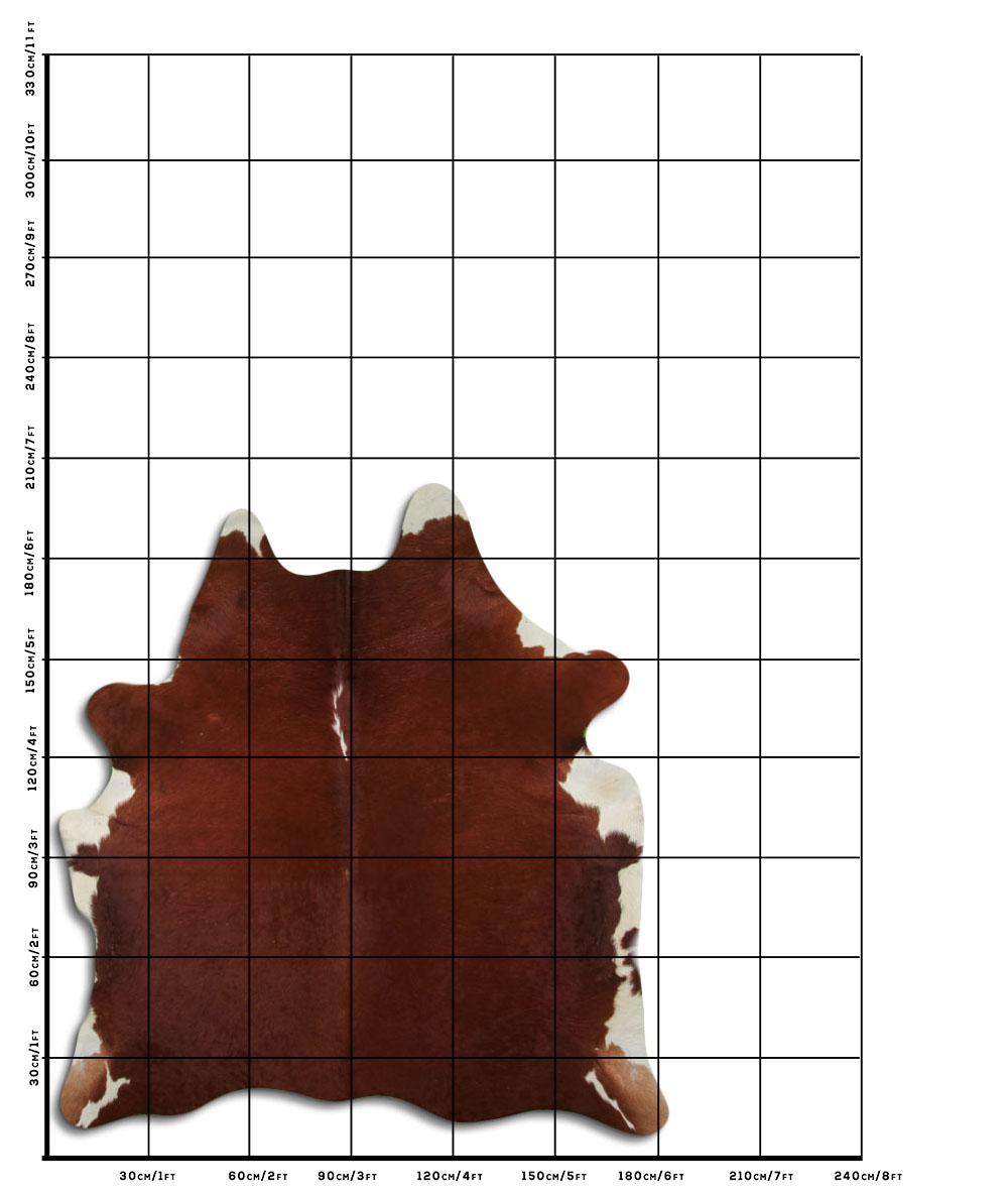 Hereford 2 - 3 M Classe B