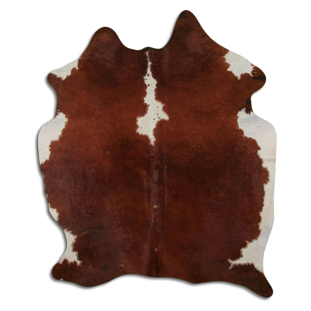 Hereford 2 - 3 M Classe B