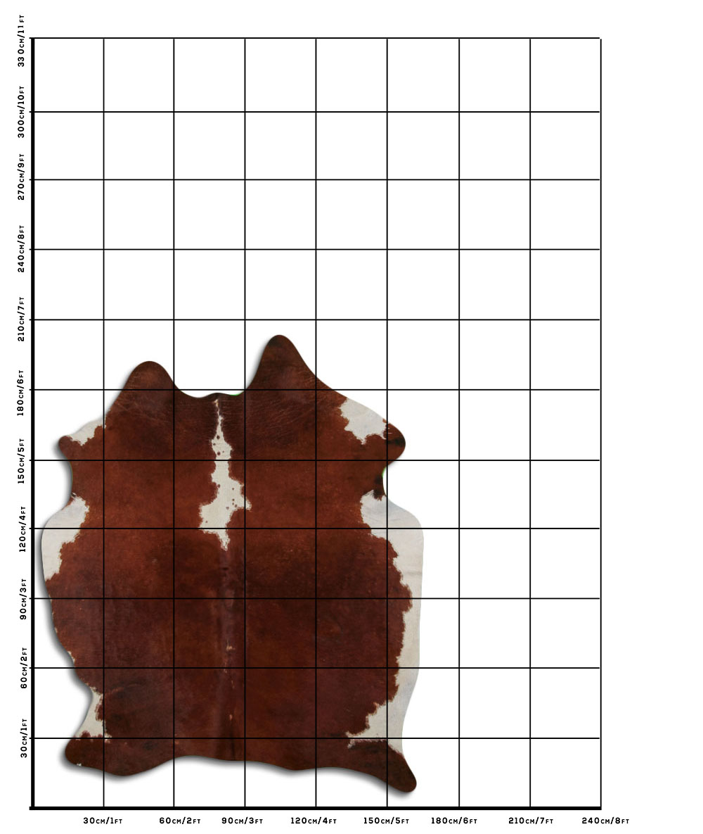 Hereford 2 - 3 M Classe B