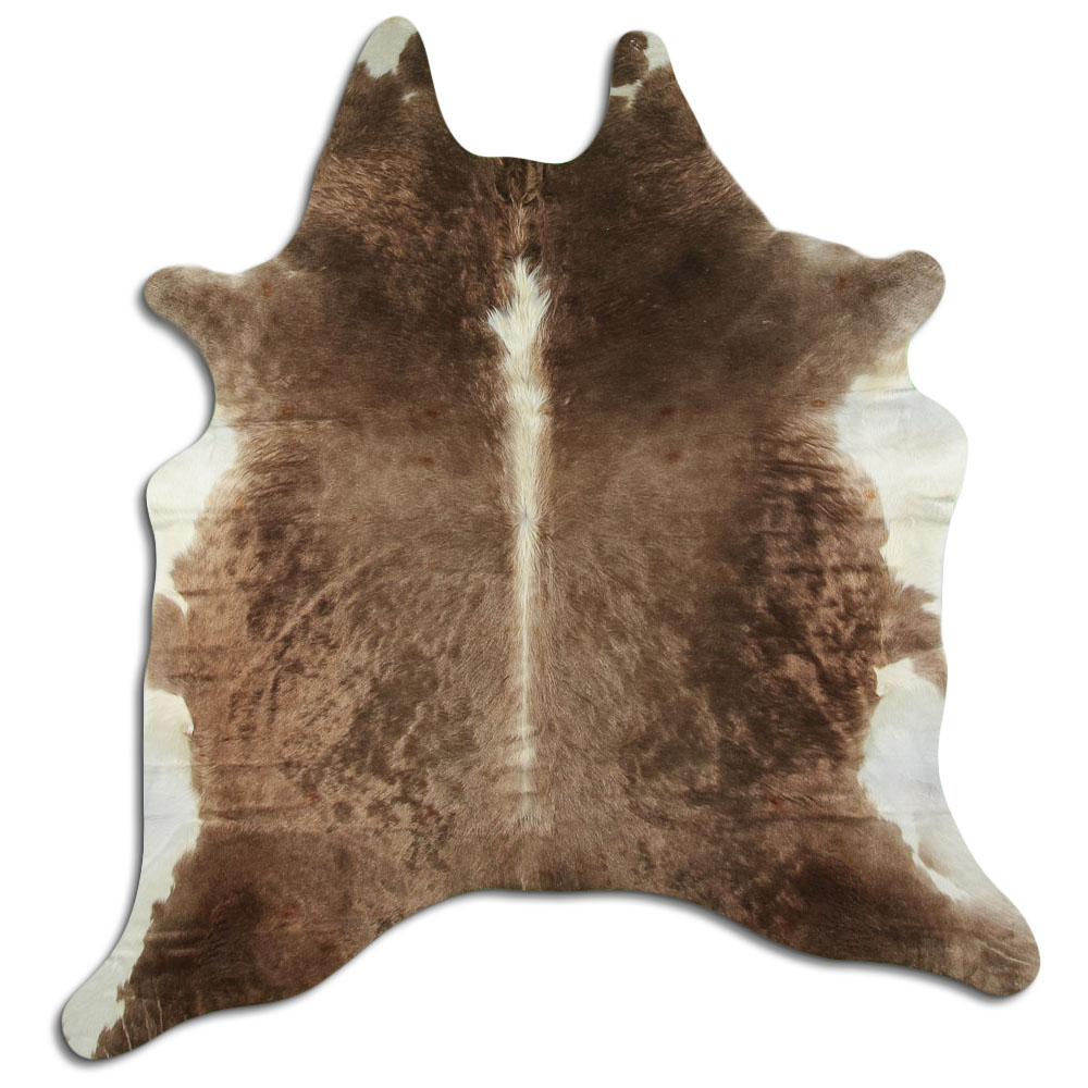 Hereford 2 - 3 M Clase B