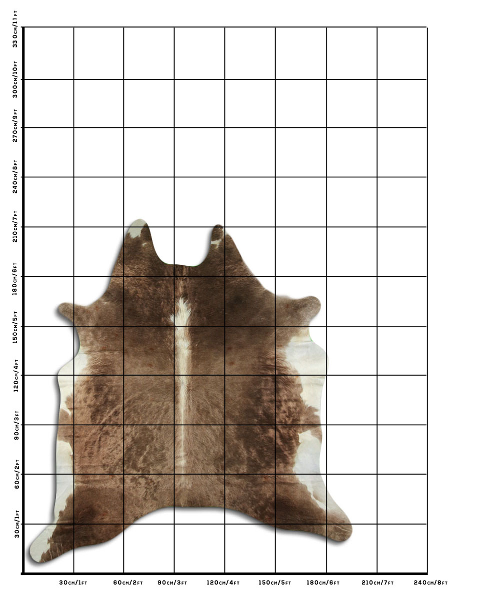 Hereford 2 - 3 M Classe B