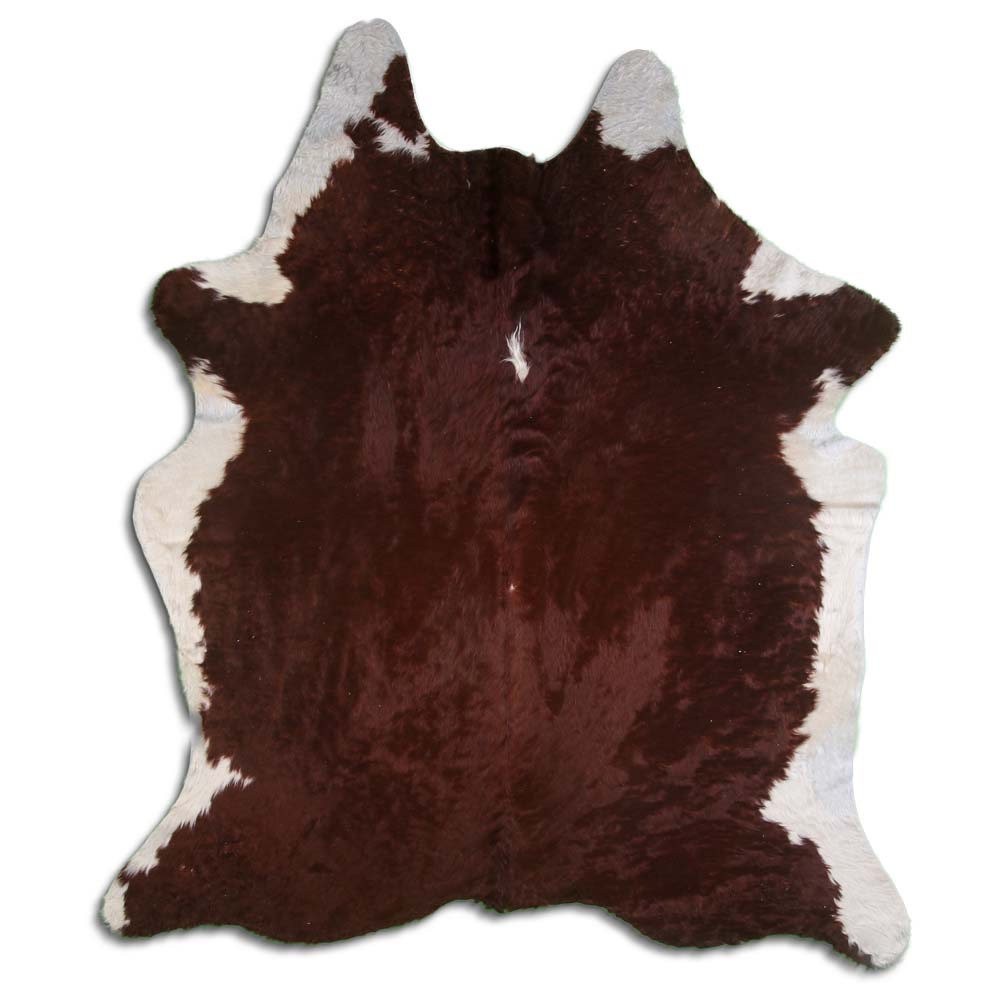 Hereford 3 - 5 M Grade A