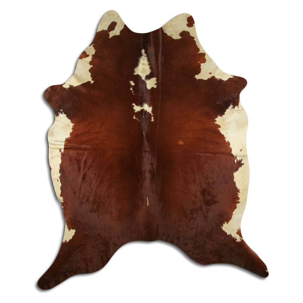 Hereford 3 - 4 M Grade A