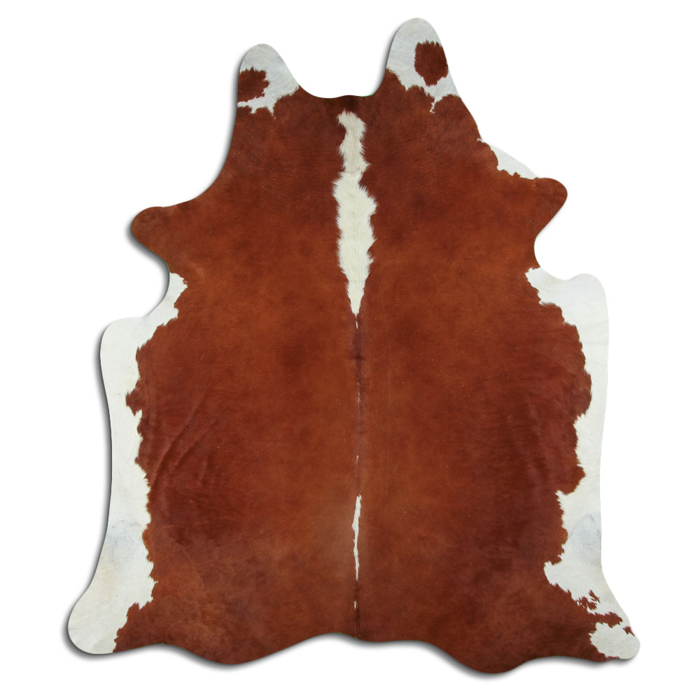 Hereford 3 - 4 M Grade A