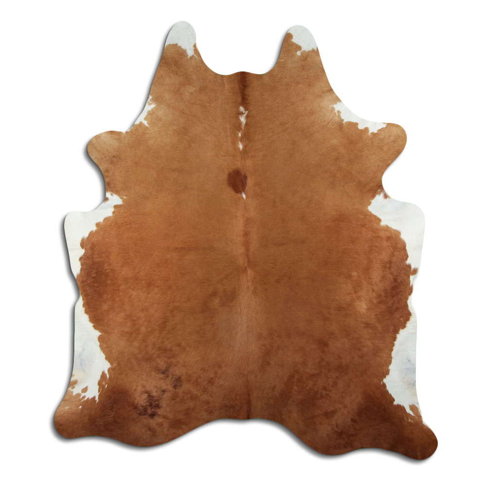 Hereford 3 - 4 M Grade A