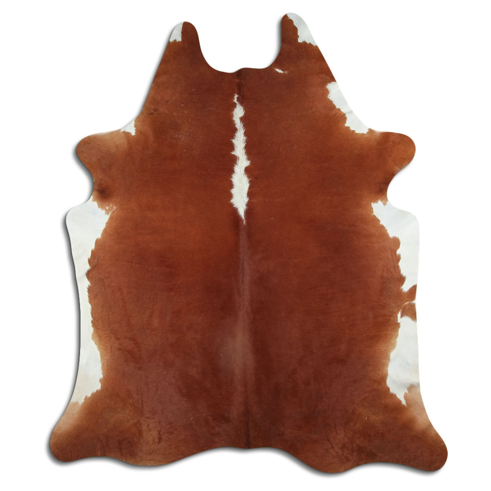 Hereford 3 - 4 M Grade A