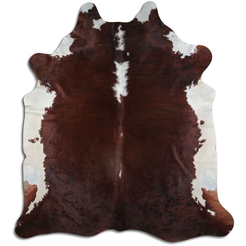 Hereford 3 - 4 M Grade A