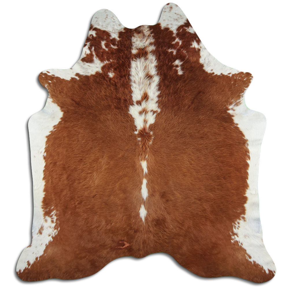 Hereford 3 - 4 M Grade A
