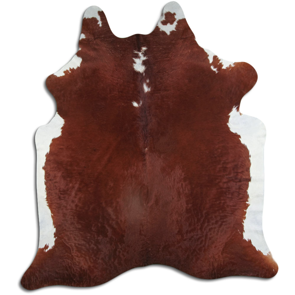 Hereford 3 - 4 M Grade A
