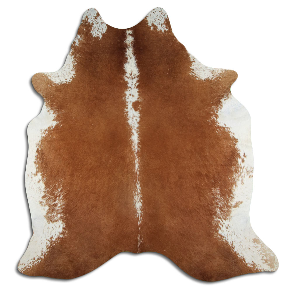 Hereford 3 - 4 M Grade A