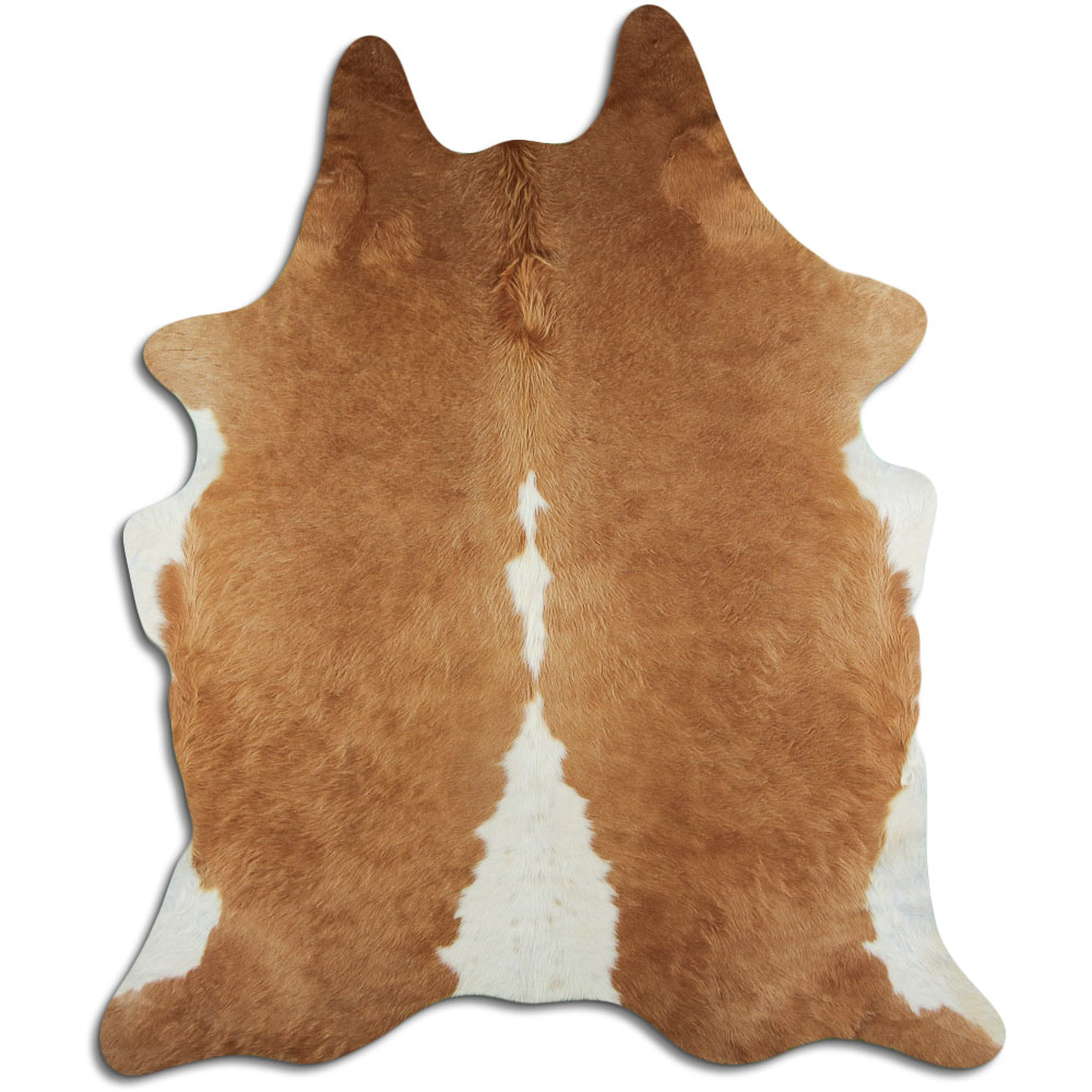 Hereford 3 - 4 M Grade A