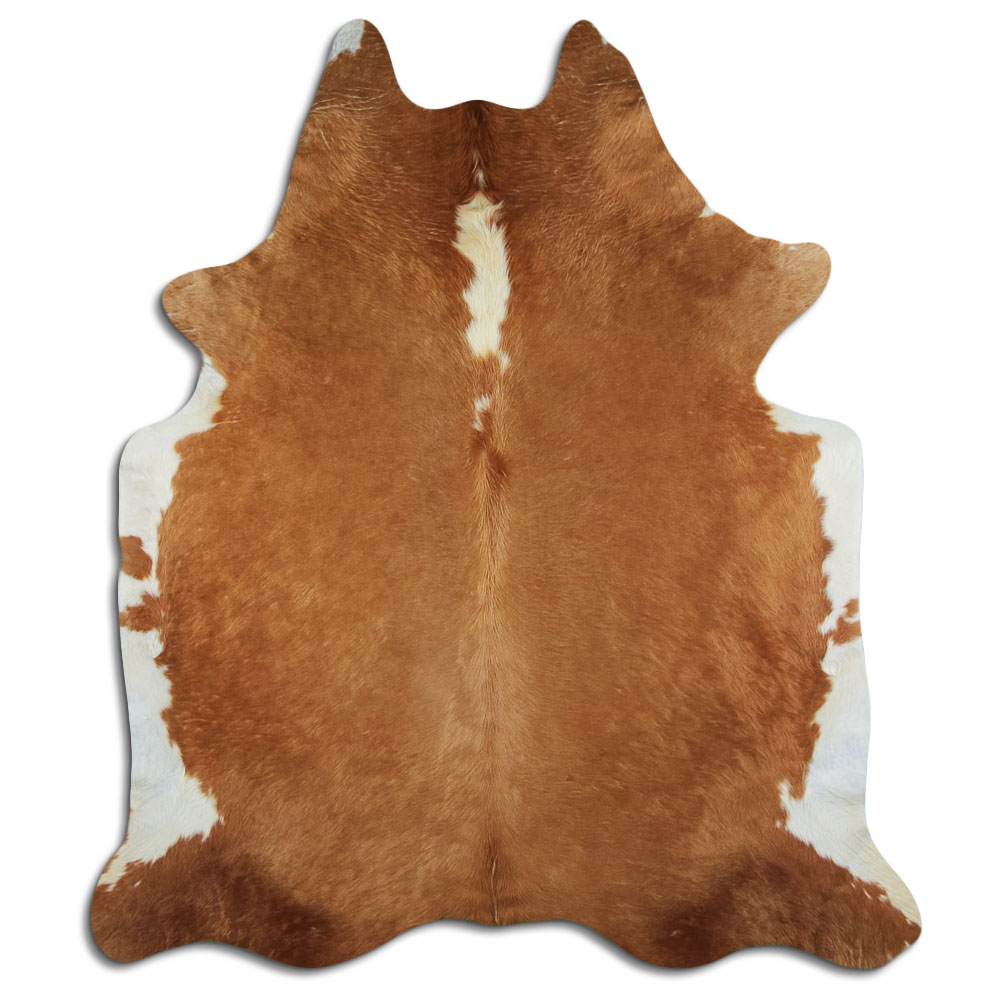 Hereford 3 - 4 M Grade A