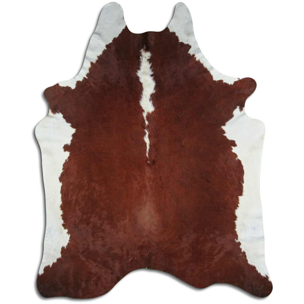 Hereford 3 - 4 M Grade A