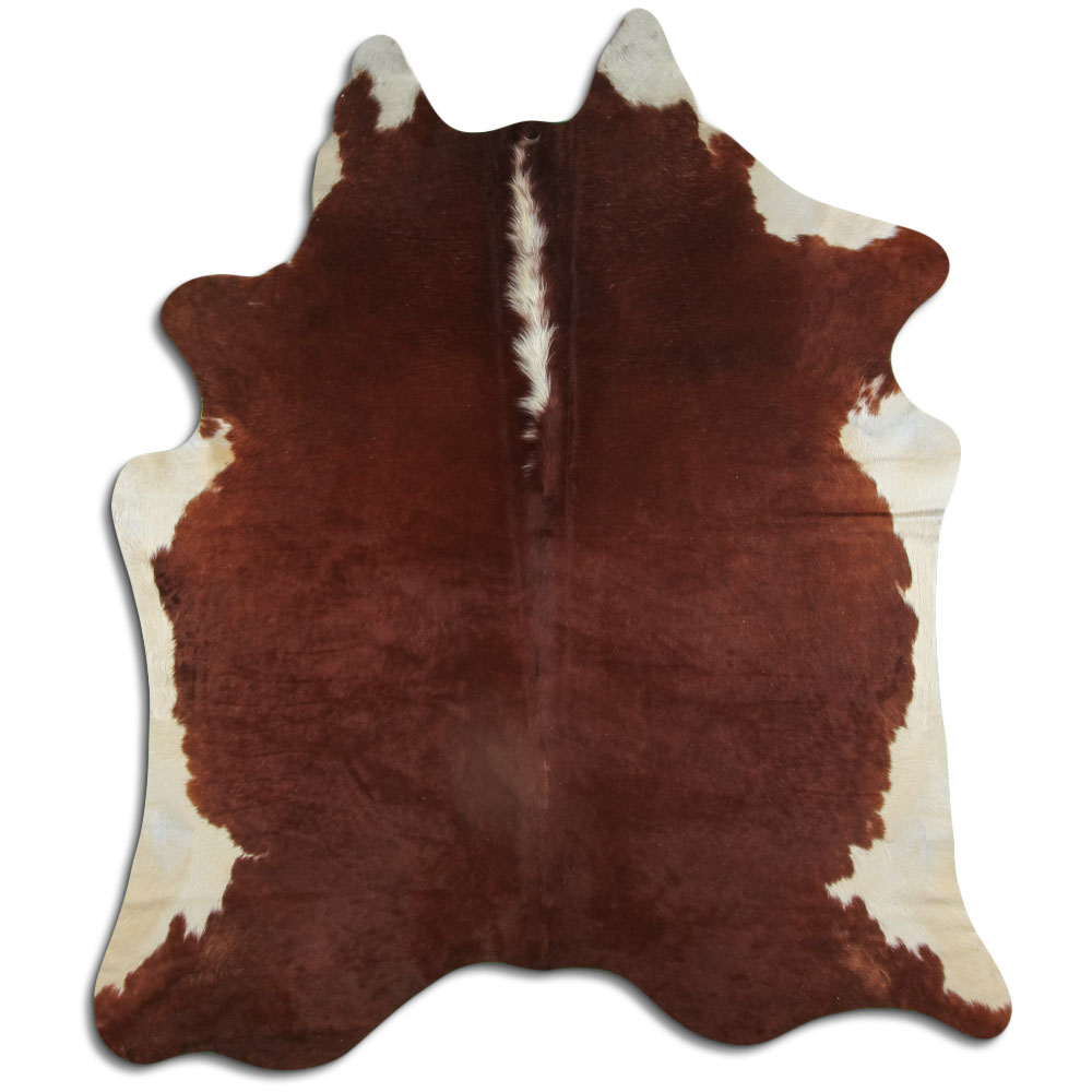 Hereford 3 - 4 M Grade A