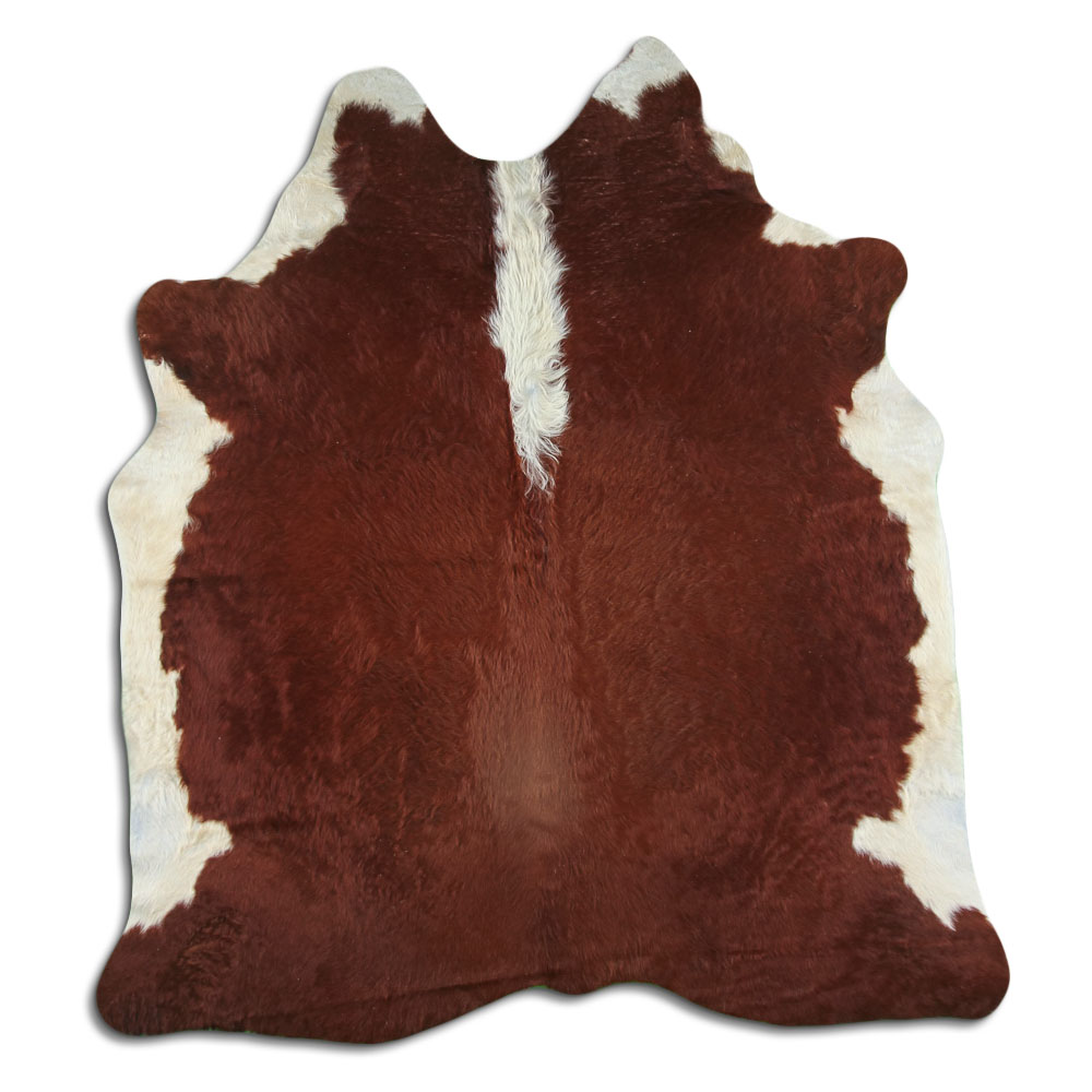 Hereford 3 - 4 M Grade A