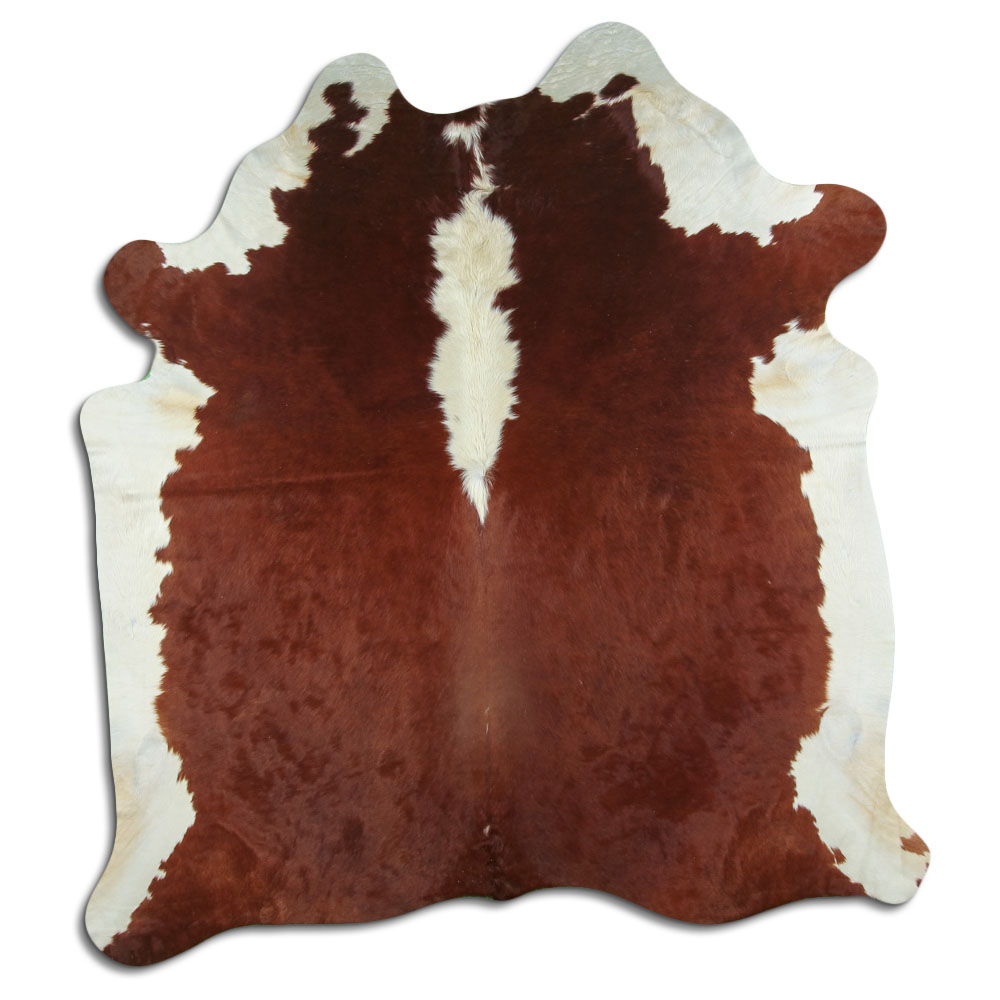 Hereford 3 - 4 M Grade A