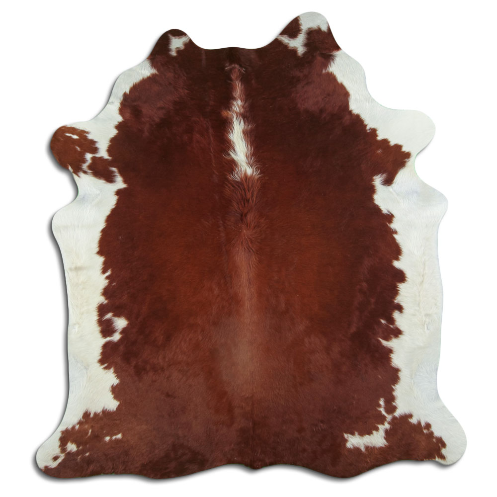 Hereford 3 - 4 M Grade A