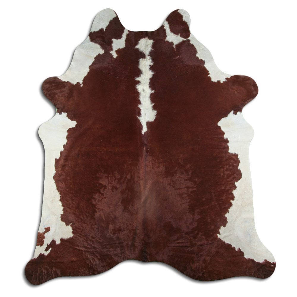 Hereford 3 - 4 M Classe A