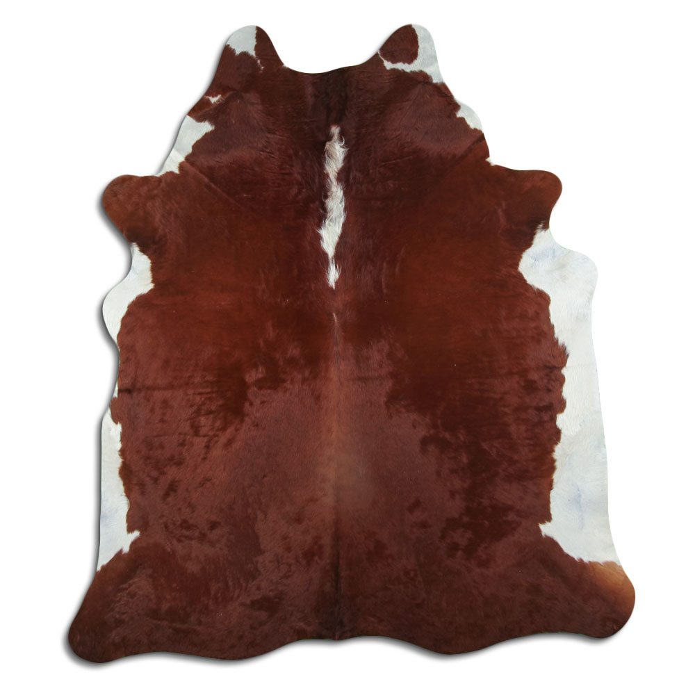 Hereford 3 - 4 M Grade A