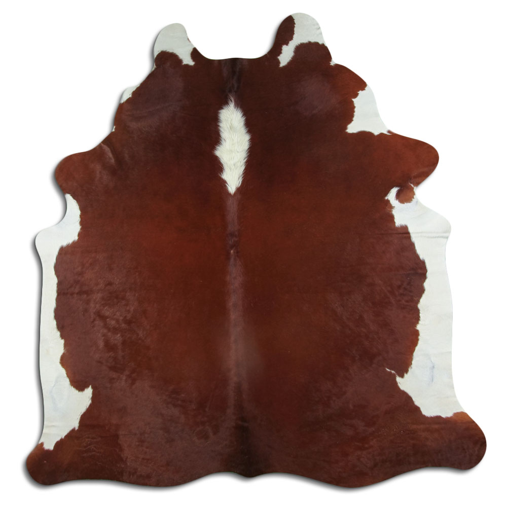 Hereford 3 - 4 M Grade A
